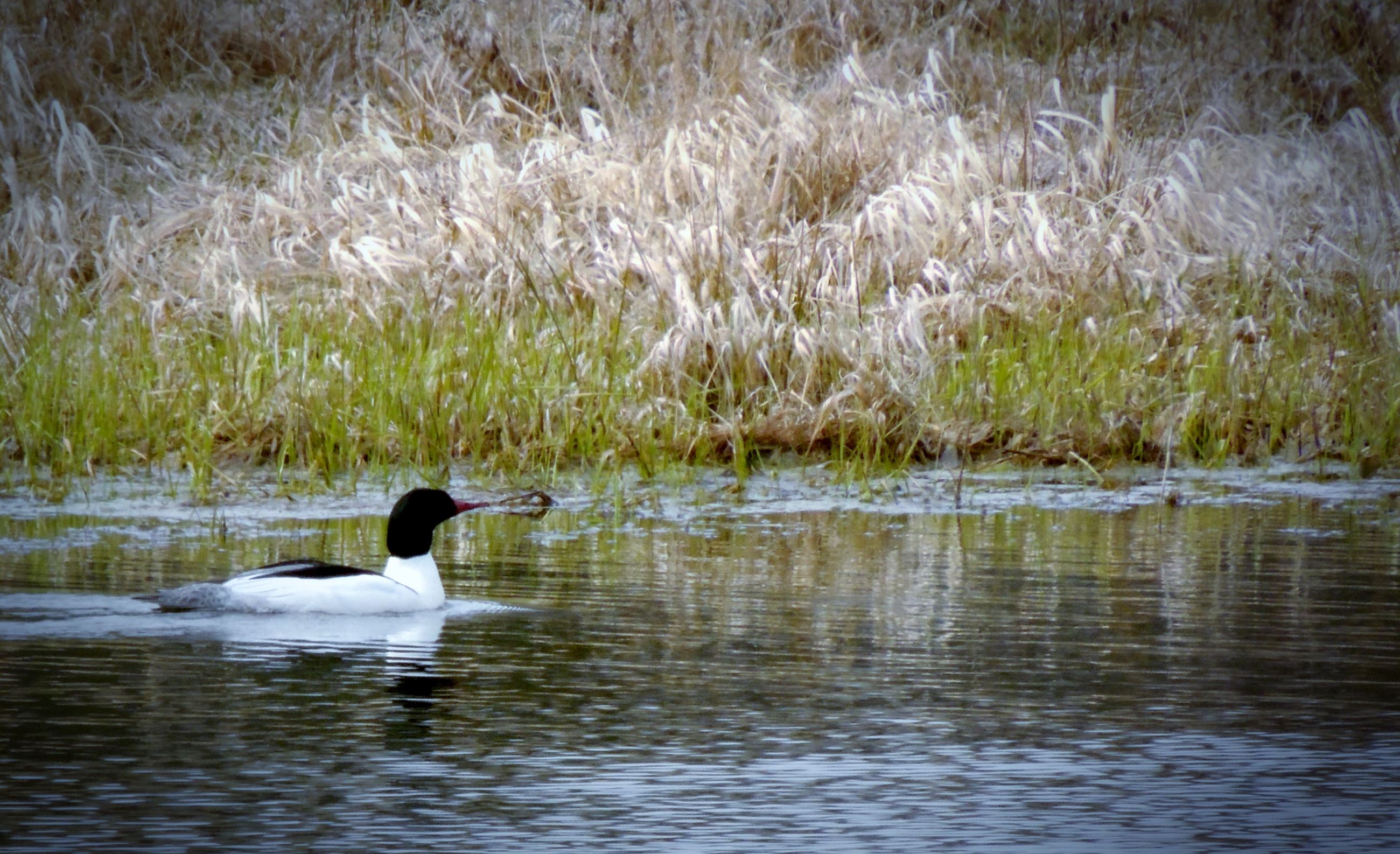 Taken by Lisa Eccleston